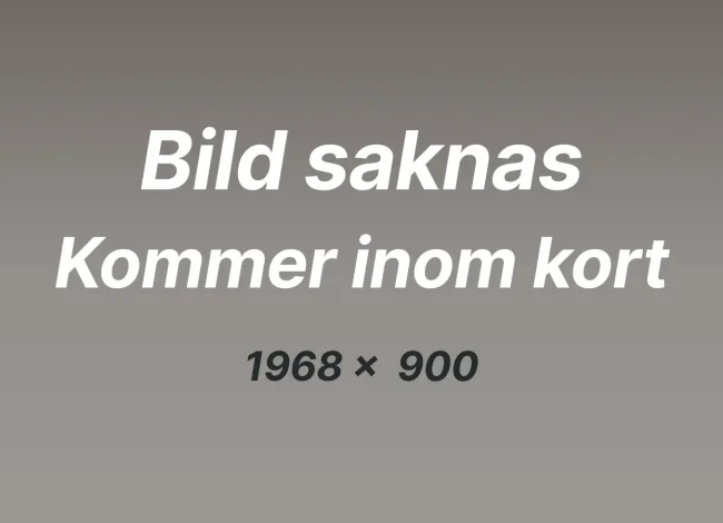 Bild saknas - Inlägg